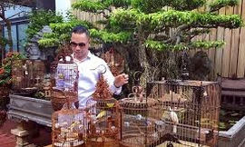 Mãn nhãn với bộ sưu tập chim quý hiếm, giá khủng của vua chim màu Việt
