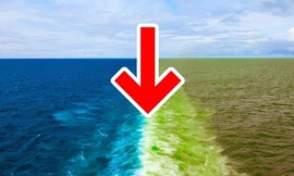 Vì sao nước Đại Tây Dương và Thái Bình Dương không hòa vào nhau?