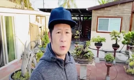 Khu vườn 2.000 m2 trồng toàn bonsai và cây cảnh quý của Bằng Kiều