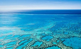 Rạn san hồ lớn nhất hành tinh được ghép từ 900 hòn đảo