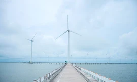 Cận cảnh cánh đồng điện gió lớn nhất Việt Nam