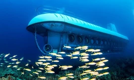 Chi 10.000 USD đi tàu ngầm tham quan đáy biển