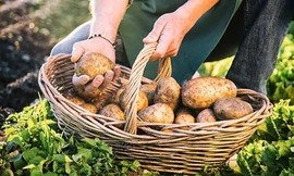 8 loại thực phẩm không bao giờ nên ăn sống