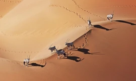 Vẻ đẹp của sa mạc cổ xưa nhất Trái Đất