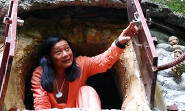 Họa sĩ dựng nhà trên cây sanh