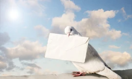 Vì sao chim bồ câu biết đưa thư?