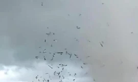 Dông lốc cuốn bay mái tôn xưởng gỗ ở Vĩnh Phúc