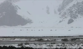 Bão tuyết giữa mùa hè