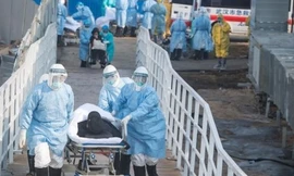 Vì sao tỷ lệ người chết do virus corona ở Vũ Hán cao?