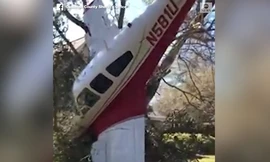 Máy bay mắc kẹt vào thân cây khi đang hạ cánh 