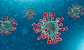 Virus gây dịch Covid – 19 đã 'tiến hóa' thành 2 nhóm khác hẳn nhau