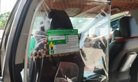 Tài xế lắp màng ngăn trong ô tô chống dịch COVID-19