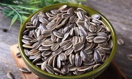 4 công dụng không ngờ của hạt hướng dương đối với sức khỏe