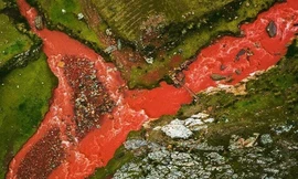 Dòng sông màu đỏ dài 5 km ở Peru