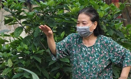 Cuộc sống trong khu cách ly Trúc Bạch