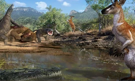 Lý do động vật khổng lồ tuyệt chủng ở Australia cổ đại