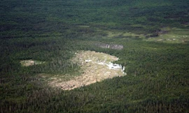 Đập hải ly lớn nhất thế giới có thể nhìn từ không gian