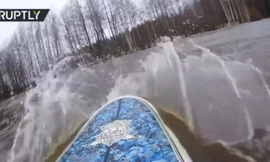  Lướt ván trong khu rừng ngập nước ở Nga