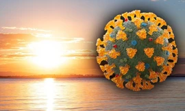 Vì sao virus corona khó lây lan hơn trong mùa hè?
