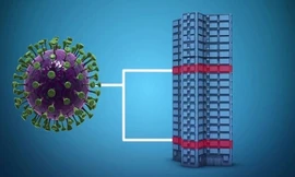 nCoV có lây lan qua đường ống chung cư?