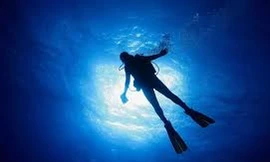 Con người có thể sống ở dưới nước không?