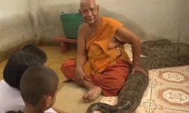 Nhà sư Thái nuôi trăn khổng lồ trong phòng ngủ suốt 30 năm
