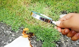 Tại sao kính lúp có thể đốt cháy tờ giấy?