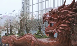 Chậu hoa đào hình rồng giá gần 1 tỷ đồng