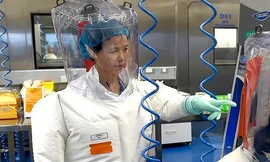 Nữ ‘người dơi’ Trung Quốc cảnh báo về dịch bệnh khác do virus