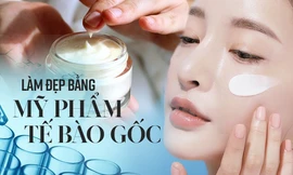 Làm đẹp bằng tế bào gốc, nhiều chị em tiền mất tật mang