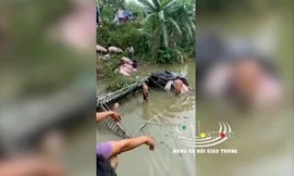 Xe tải chở hàng chục con lợn lao xuống sông ở Hải Dương