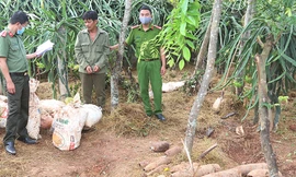 Chôn bom đạn trong vườn để bán thuốc nổ