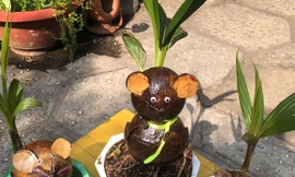 Ngắm bonsai dừa tạo hình con vật độc đáo lạ mắt