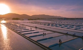 Bình minh trên ruộng muối Long Điền