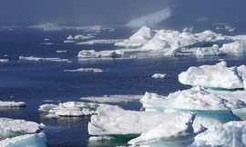 Băng biển ở Bắc Cực có thể biến mất trước năm 2050