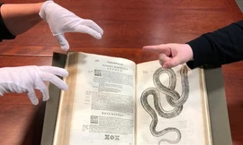 Cách đọc và giữ gìn những cuốn sách quý hiếm