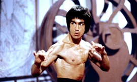 Ảnh hưởng của võ thuật Lý Tiểu Long