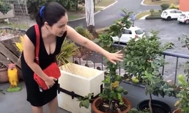 Không gian nhà của MC Cát Tường ở Australia