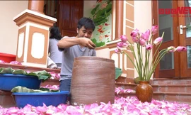 Chàng trai bỏ nghề kỹ sư đi ướp trà sen thu hàng trăm triệu mỗi năm