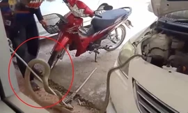 Thót tim rắn hổ mang chúa chui vào động cơ xe
