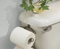 Vì sao người phương Tây thích sử dụng giấy vệ sinh?