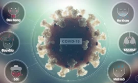 Covid-19 gây tổn thương cơ thể thế nào?