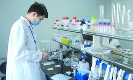 Bộ kit xét nghiệm virus corona cho kết quả trong 15 phút