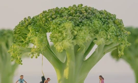 Điều gì xảy ra nếu con người nhỏ bằng một nguyên tử?