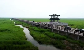 Cầu tre dài nhất thế giới