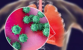 nCoV có thể tồn tại 9 ngày ngoài vật chủ