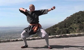 Thông bối quyền - môn võ gây chết người