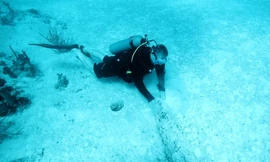 Nữ thợ lặn dẫn đầu đoàn khám phá vùng biển lạnh nhất thế giới