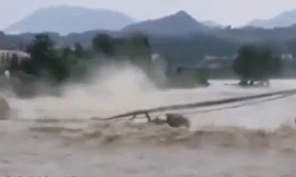 Cầu 480 tuổi ở Trung Quốc bị nước lũ đánh sập