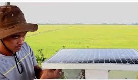 Thầy giáo miền Tây sáng chế máy diệt rầy bằng năng lượng mặt trời